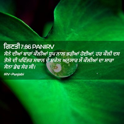 Picture 02 - ਗਿਣਤੀ 7:86 PANIRV - ਸੋਨੇ ਦੀਆਂ ਬਾਰਾਂ - Bible Verse Picture