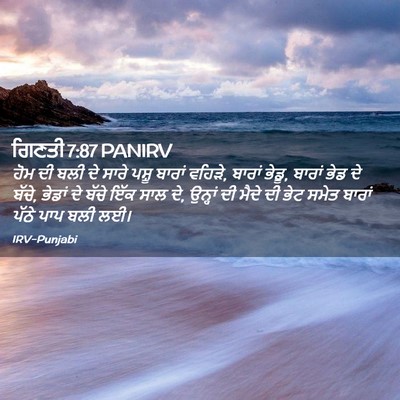 Picture 02 - ਗਿਣਤੀ 7:87 PANIRV - ਹੋਮ ਦੀ ਬਲੀ ਦੇ ਸਾਰੇ - Bible Verse Picture