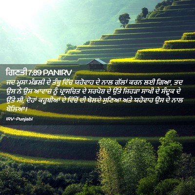 Picture 02 - ਗਿਣਤੀ 7:89 PANIRV - ਜਦ ਮੂਸਾ ਮੰਡਲੀ ਦੇ - Bible Verse Picture