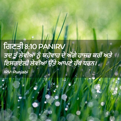 Picture 02 - ਗਿਣਤੀ 8:10 PANIRV - ਤਦ ਤੂੰ ਲੇਵੀਆਂ ਨੂੰ - Bible Verse Picture