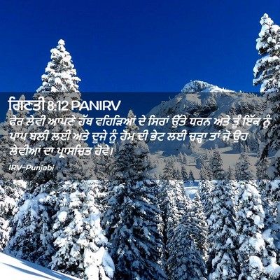 Picture 02 - ਗਿਣਤੀ 8:12 PANIRV - ਫੇਰ ਲੇਵੀ ਆਪਣੇ ਹੱਥ - Bible Verse Picture