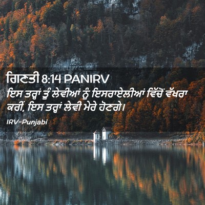 Picture 02 - ਗਿਣਤੀ 8:14 PANIRV - ਇਸ ਤਰ੍ਹਾਂ ਤੂੰ - Bible Verse Picture