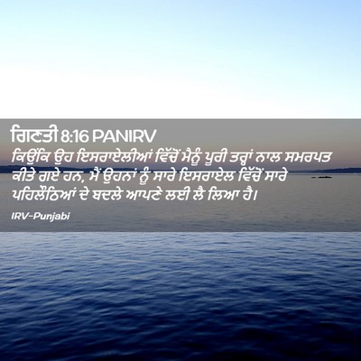 Picture 02 - ਗਿਣਤੀ 8:16 PANIRV - ਕਿਉਂਕਿ ਉਹ - Bible Verse Picture