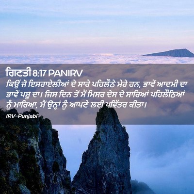 Picture 02 - ਗਿਣਤੀ 8:17 PANIRV - ਕਿਉਂ ਜੋ ਇਸਰਾਏਲੀਆਂ - Bible Verse Picture