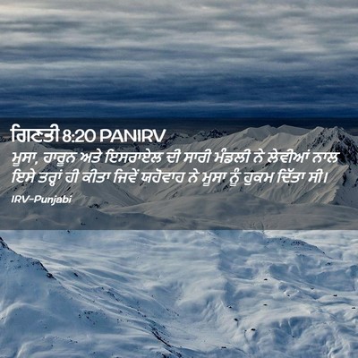 Picture 02 - ਗਿਣਤੀ 8:20 PANIRV - ਮੂਸਾ, ਹਾਰੂਨ ਅਤੇ - Bible Verse Picture