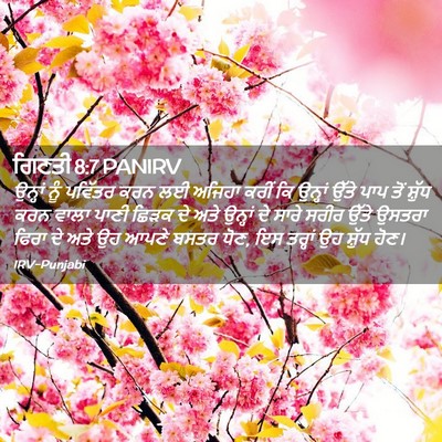 Picture 02 - ਗਿਣਤੀ 8:7 PANIRV - ਉਨ੍ਹਾਂ ਨੂੰ ਪਵਿੱਤਰ - Bible Verse Picture