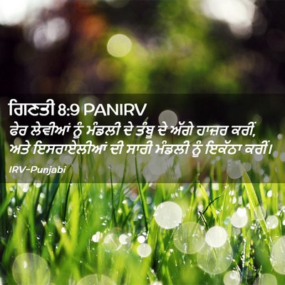 Picture 02 - ਗਿਣਤੀ 8:9 PANIRV - ਫੇਰ ਲੇਵੀਆਂ ਨੂੰ - Bible Verse Picture