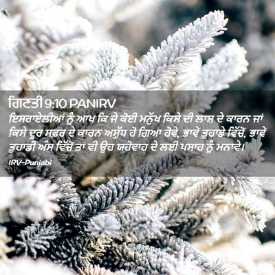 Picture 02 - ਗਿਣਤੀ 9:10 PANIRV - ਇਸਰਾਏਲੀਆਂ ਨੂੰ ਆਖ - Bible Verse Picture