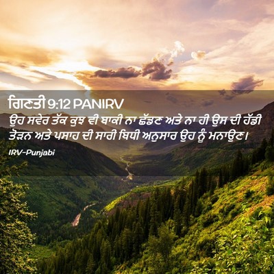 Picture 02 - ਗਿਣਤੀ 9:12 PANIRV - ਉਹ ਸਵੇਰ ਤੱਕ ਕੁਝ ਵੀ - Bible Verse Picture