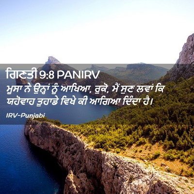 Picture 02 - ਗਿਣਤੀ 9:8 PANIRV - ਮੂਸਾ ਨੇ ਉਨ੍ਹਾਂ ਨੂੰ - Bible Verse Picture