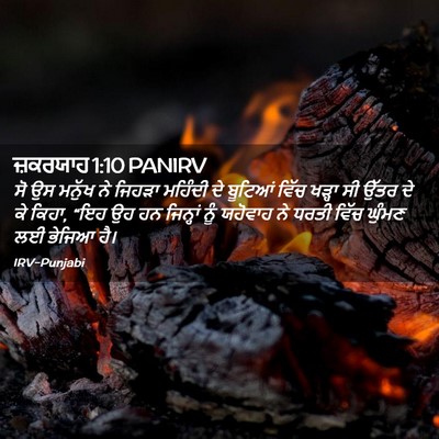 Picture 02 - ਜ਼ਕਰਯਾਹ 1:10 PANIRV - ਸੋ ਉਸ ਮਨੁੱਖ ਨੇ - Bible Verse Picture