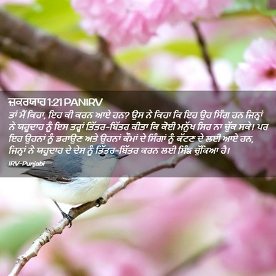 Picture 02 - ਜ਼ਕਰਯਾਹ 1:21 PANIRV - ਤਾਂ ਮੈਂ ਕਿਹਾ, ਇਹ ਕੀ - Bible Verse Picture