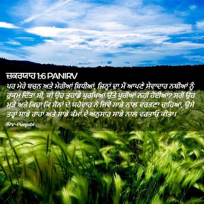 Picture 02 - ਜ਼ਕਰਯਾਹ 1:6 PANIRV - ਪਰ ਮੇਰੇ ਬਚਨ ਅਤੇ - Bible Verse Picture