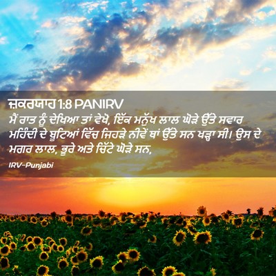 Picture 02 - ਜ਼ਕਰਯਾਹ 1:8 PANIRV - ਮੈਂ ਰਾਤ ਨੂੰ ਦੇਖਿਆ - Bible Verse Picture