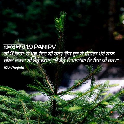 Picture 02 - ਜ਼ਕਰਯਾਹ 1:9 PANIRV - ਤਾਂ ਮੈਂ ਕਿਹਾ, ਹੇ - Bible Verse Picture