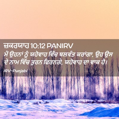 Picture 02 - ਜ਼ਕਰਯਾਹ 10:12 PANIRV - ਮੈਂ ਉਹਨਾਂ ਨੂੰ - Bible Verse Picture