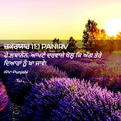 Picture 02 - ਜ਼ਕਰਯਾਹ 11:1 PANIRV - ਹੇ ਲਬਾਨੋਨ, ਆਪਣੇ - Bible Verse Picture