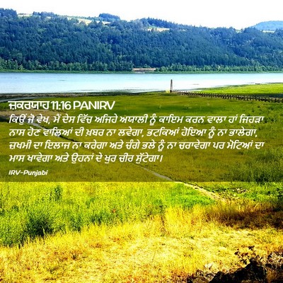 Picture 02 - ਜ਼ਕਰਯਾਹ 11:16 PANIRV - ਕਿਉਂ ਜੋ ਵੇਖ, ਮੈਂ - Bible Verse Picture