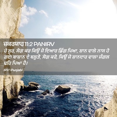 Picture 02 - ਜ਼ਕਰਯਾਹ 11:2 PANIRV - ਹੇ ਸੂਰ, ਸੋਗ ਕਰ ਕਿਉਂ - Bible Verse Picture