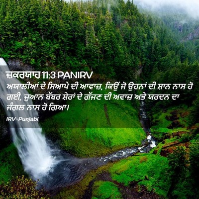 Picture 02 - ਜ਼ਕਰਯਾਹ 11:3 PANIRV - ਅਯਾਲੀਆਂ ਦੇ ਸਿਆਪੇ - Bible Verse Picture
