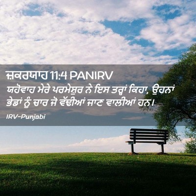 Picture 02 - ਜ਼ਕਰਯਾਹ 11:4 PANIRV - ਯਹੋਵਾਹ ਮੇਰੇ - Bible Verse Picture
