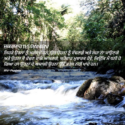 Picture 02 - ਜ਼ਕਰਯਾਹ 11:5 PANIRV - ਜਿਹੜੇ ਉਹਨਾਂ ਨੂੰ - Bible Verse Picture