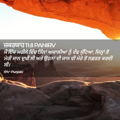 Picture 02 - ਜ਼ਕਰਯਾਹ 11:8 PANIRV - ਮੈਂ ਇੱਕ ਮਹੀਨੇ ਵਿੱਚ - Bible Verse Picture