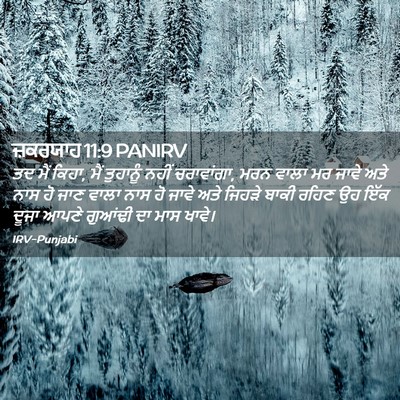 Picture 02 - ਜ਼ਕਰਯਾਹ 11:9 PANIRV - ਤਦ ਮੈਂ ਕਿਹਾ, ਮੈਂ - Bible Verse Picture
