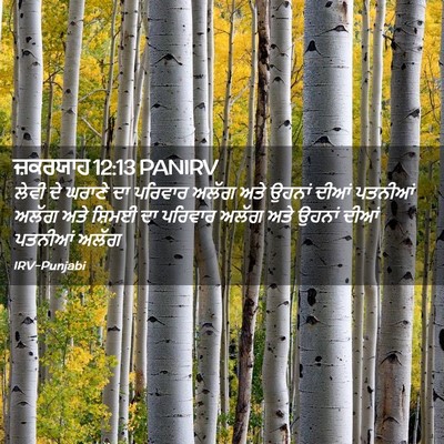Picture 02 - ਜ਼ਕਰਯਾਹ 12:13 PANIRV - ਲੇਵੀ ਦੇ ਘਰਾਣੇ ਦਾ - Bible Verse Picture