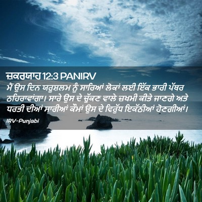 Picture 02 - ਜ਼ਕਰਯਾਹ 12:3 PANIRV - ਮੈਂ ਉਸ ਦਿਨ ਯਰੂਸ਼ਲਮ - Bible Verse Picture