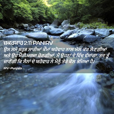 Picture 02 - ਜ਼ਕਰਯਾਹ 2:11 PANIRV - ਉਸ ਸਮੇਂ ਬਹੁਤ - Bible Verse Picture