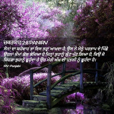 Picture 02 - ਜ਼ਕਰਯਾਹ 2:8 PANIRV - ਸੈਨਾਂ ਦਾ ਯਹੋਵਾਹ - Bible Verse Picture