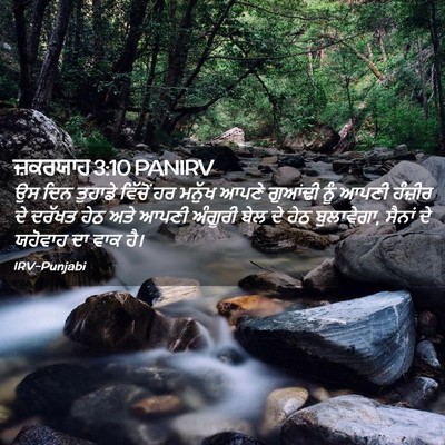 Picture 02 - ਜ਼ਕਰਯਾਹ 3:10 PANIRV - ਉਸ ਦਿਨ ਤੁਹਾਡੇ - Bible Verse Picture