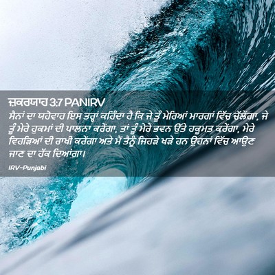 Picture 02 - ਜ਼ਕਰਯਾਹ 3:7 PANIRV - ਸੈਨਾਂ ਦਾ ਯਹੋਵਾਹ ਇਸ - Bible Verse Picture