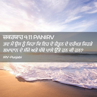 Picture 02 - ਜ਼ਕਰਯਾਹ 4:11 PANIRV - ਤਦ ਮੈਂ ਉਸ ਨੂੰ ਕਿਹਾ - Bible Verse Picture