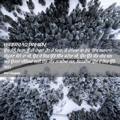 Picture 02 - ਜ਼ਕਰਯਾਹ 4:2 PANIRV - ਉਸ ਮੈਨੂੰ ਕਿਹਾ, ਤੂੰ - Bible Verse Picture