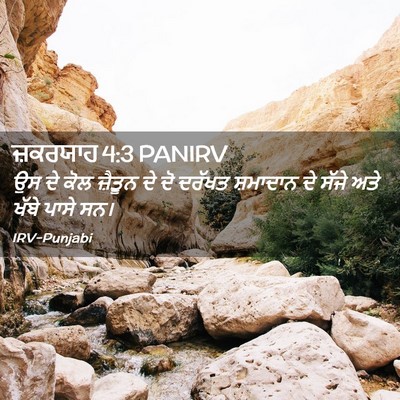 Picture 02 - ਜ਼ਕਰਯਾਹ 4:3 PANIRV - ਉਸ ਦੇ ਕੋਲ ਜ਼ੈਤੂਨ ਦੇ - Bible Verse Picture