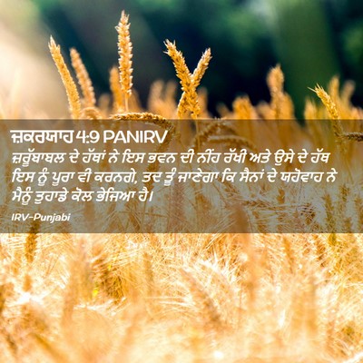 Picture 02 - ਜ਼ਕਰਯਾਹ 4:9 PANIRV - ਜ਼ਰੂੱਬਾਬਲ ਦੇ - Bible Verse Picture