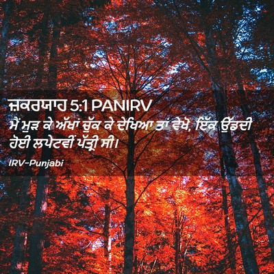 Picture 02 - ਜ਼ਕਰਯਾਹ 5:1 PANIRV - ਮੈਂ ਮੁੜ ਕੇ ਅੱਖਾਂ - Bible Verse Picture