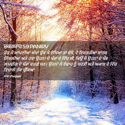 Picture 02 - ਜ਼ਕਰਯਾਹ 5:9 PANIRV - ਫੇਰ ਮੈਂ ਆਪਣੀਆਂ - Bible Verse Picture