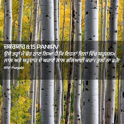Picture 02 - ਜ਼ਕਰਯਾਹ 8:15 PANIRV - ਉਸੇ ਤਰ੍ਹਾਂ ਮੈਂ ਫੇਰ - Bible Verse Picture