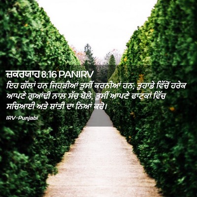 Picture 02 - ਜ਼ਕਰਯਾਹ 8:16 PANIRV - ਇਹ ਗੱਲਾਂ ਹਨ - Bible Verse Picture