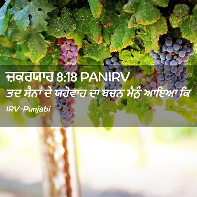 Picture 02 - ਜ਼ਕਰਯਾਹ 8:18 PANIRV - ਤਦ ਸੈਨਾਂ ਦੇ ਯਹੋਵਾਹ - Bible Verse Picture
