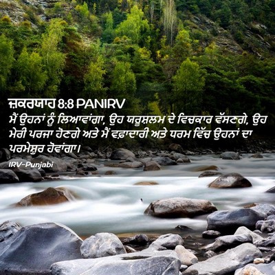 Picture 02 - ਜ਼ਕਰਯਾਹ 8:8 PANIRV - ਮੈਂ ਉਹਨਾਂ ਨੂੰ - Bible Verse Picture