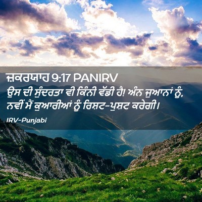 Picture 02 - ਜ਼ਕਰਯਾਹ 9:17 PANIRV - ਉਸ ਦੀ ਸੁੰਦਰਤਾ ਵੀ - Bible Verse Picture