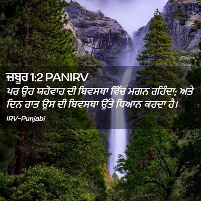 Picture 02 - ਜ਼ਬੂਰ 1:2 PANIRV - ਪਰ ਉਹ ਯਹੋਵਾਹ ਦੀ - Bible Verse Picture