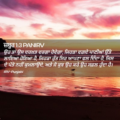 Picture 02 - ਜ਼ਬੂਰ 1:3 PANIRV - ਉਹ ਤਾਂ ਉਸ ਦਰਖ਼ਤ - Bible Verse Picture