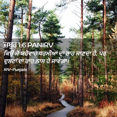 Picture 02 - ਜ਼ਬੂਰ 1:6 PANIRV - ਕਿਉਂ ਜੋ ਯਹੋਵਾਹ - Bible Verse Picture