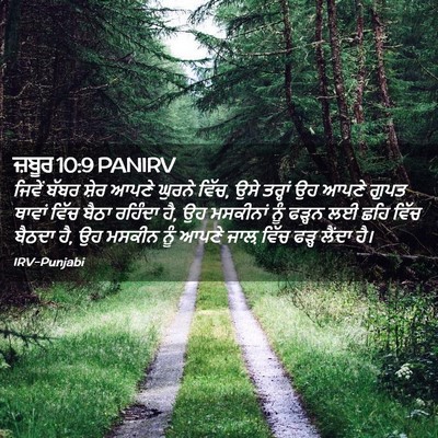 Picture 02 - ਜ਼ਬੂਰ 10:9 PANIRV - ਜਿਵੇਂ ਬੱਬਰ ਸ਼ੇਰ - Bible Verse Picture