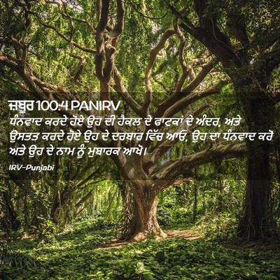 Picture 02 - ਜ਼ਬੂਰ 100:4 PANIRV - ਧੰਨਵਾਦ ਕਰਦੇ ਹੋਏ ਉਹ - Bible Verse Picture